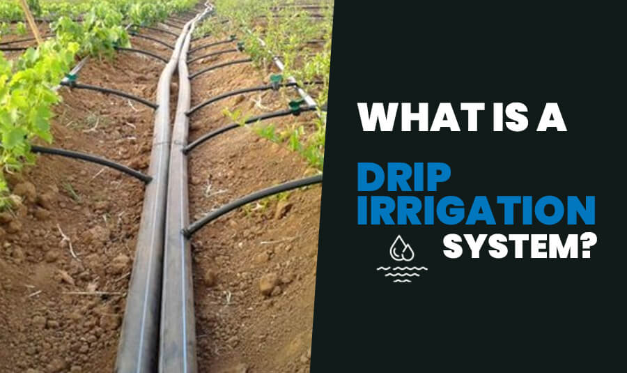 何谓Drip灌溉系统