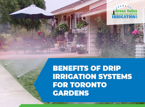 大发体育直播平台怎么样多伦多Drip灌溉系统:最大花园潜力